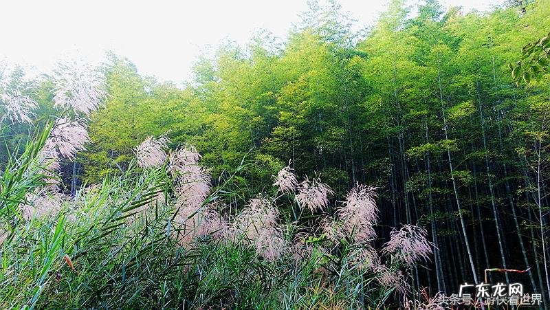 从化溪 从化溪头村玩水