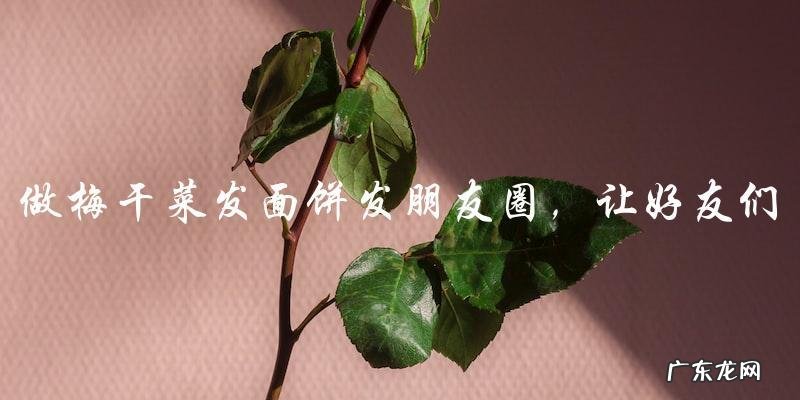 做梅干菜发面饼,分享美食心得,炫耀朋友圈!