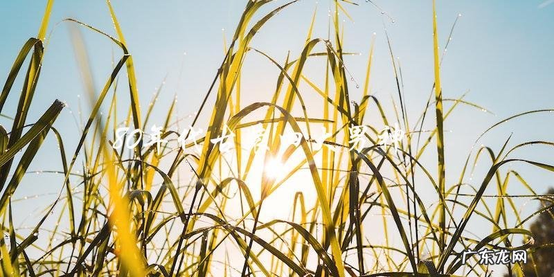 谁是80年代古装四大男神?他们的风采与传奇!