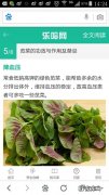 吃苋菜有什么好处？吃苋菜的好处,吃苋菜的坏处