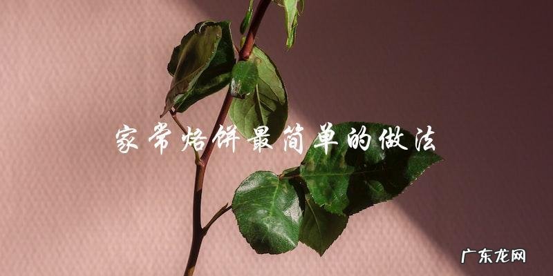 最简单的家常烙饼做法,轻松学会!