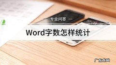 电脑word怎么看字数