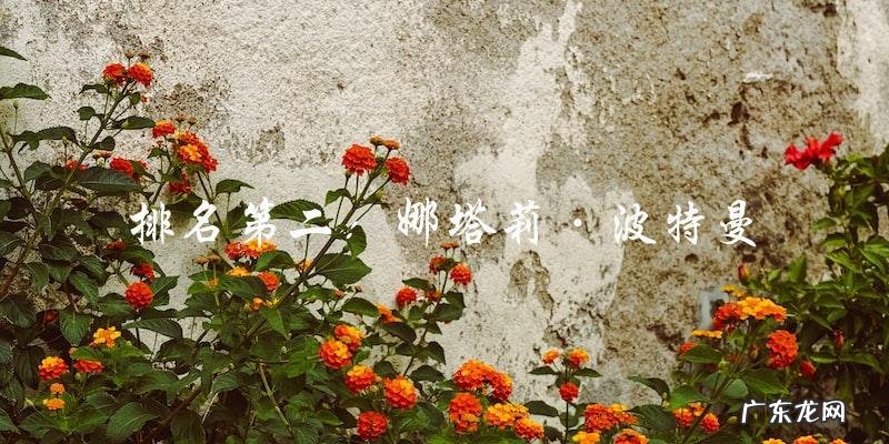 盛世美颜！国外女明星颜值排名出炉，第一名竟然是她？！