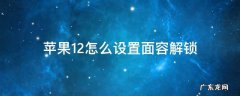 苹果12怎么设置面容解锁 苹果12怎么设置面容解锁直接进入主界面
