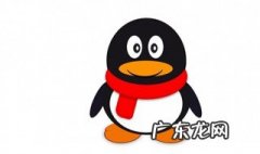 QQ闪照怎么用 qq闪照怎么用手机保存