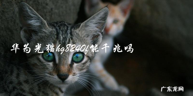 华为光猫hg8240f是否支持千兆网络?