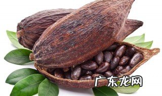 梧桐子的禁忌有哪些 梧桐子的禁忌