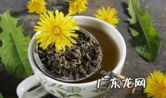 蒲公英叶子泡水喝的功效和作用茶的功效与作用 蒲公英叶子泡水喝的功效