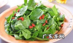 穿心莲片不能和什么一起吃 穿心莲不能和什么一起吃
