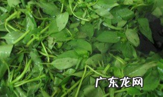 荆芥怎么吃 荆芥怎么吃好吃