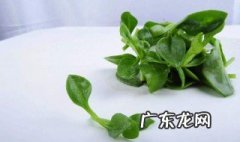 穿心莲怎么吃 穿心莲内酯滴丸