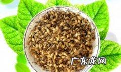 哪些人不能吃麦芽 哪些人不宜服用麦芽