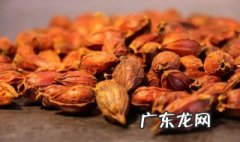 栀子和山栀子一样吗 栀子和山栀子一样吗能吃吗