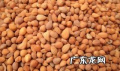 吃郁李仁的注意事项 郁李仁吃多了会怎样