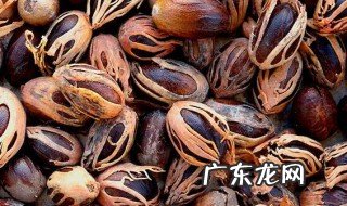 肉豆蔻的功效与作用 肉豆蔻的功效与作用图片