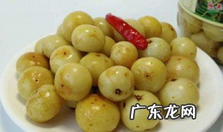 食用余甘子的注意事项 食用余甘子的注意事项是什么