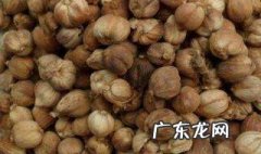吃肉豆蔻的注意事项 吃肉豆蔻的注意事项有哪些