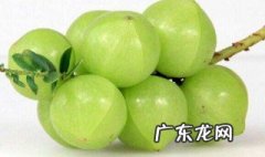 孕妇能不能吃余甘 孕妇可以吃余甘子吗