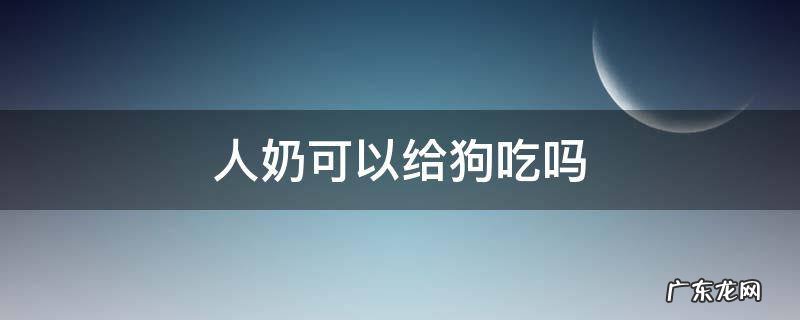 人奶可以给狗吃吗 人奶狗狗可以吃吗