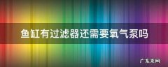 鱼缸有了过滤器还要氧气泵吗 鱼缸有过滤器还需要氧气泵吗