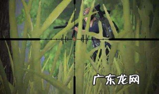 吃鸡怎么设置流畅运行 吃鸡怎么设置流畅运行模式