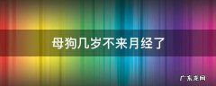 狗狗几岁不来姨妈了 母狗几岁不来月经了