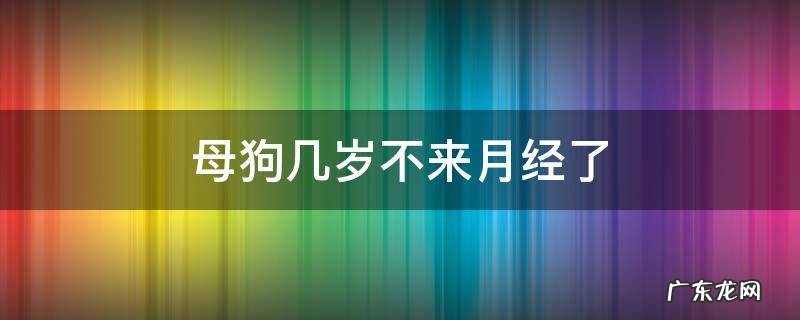 狗狗几岁不来姨妈了 母狗几岁不来月经了