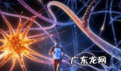 晚上学哪科比较好 晚上学什么科目比较好