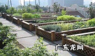 楼顶种菜的好处 楼顶种菜好吗