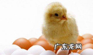 pokemmo如何孵蛋教程 孵蛋教程