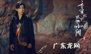 凤凰最后还爱锦觅吗 凤凰为什么杀死锦觅