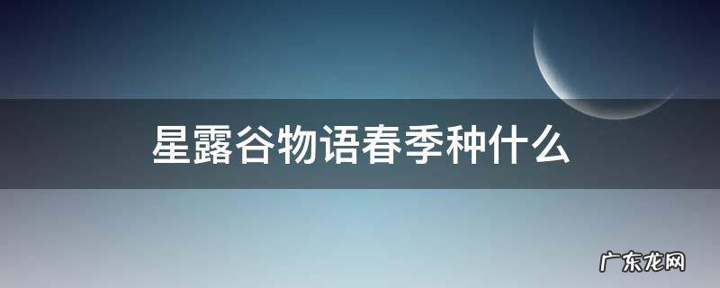 星露谷物语春季种什么最赚钱 星露谷物语春季种什么