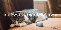 如何教一个出生一个月的小猫使用猫砂盆？