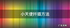 小天使蔓绿绒扦插 小天使扦插方法