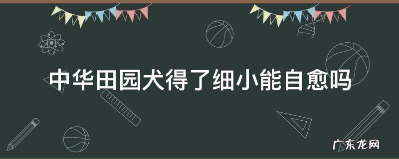幼犬得了细小不治疗会自己好吗 中华田园犬得了细小能自愈吗