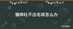猫咪吐不出毛球怎么办 猫咪有毛球吐不出来