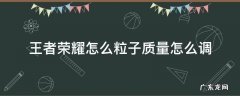 王者荣耀粒子质量怎么调最好 王者荣耀怎么粒子质量怎么调