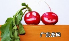 咬萝卜的声音怎么形容 咬萝卜有哪些美好的寓意