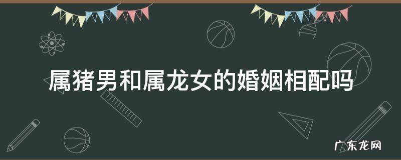 属猪男和属龙女的婚姻相配吗 属猪男婚配属龙女是否幸福?