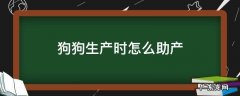 狗狗生产时怎么助产 狗狗生产怎样助产