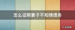 怎么证明妻子不知情债务 丈夫债务与妻子无关的证明怎么写