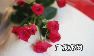 玫瑰花喜欢怎样的土壤环境 玫瑰花喜欢怎样的土壤