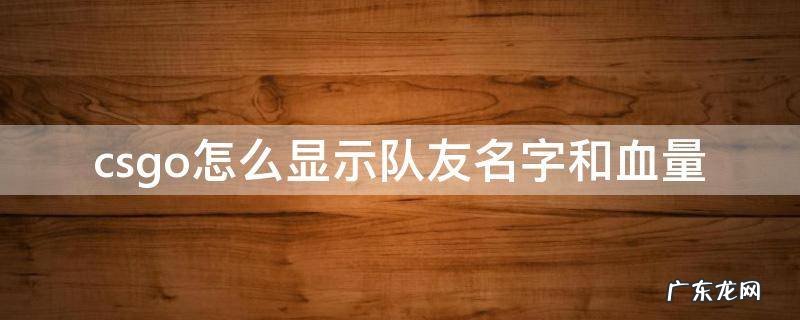 csgo不显示队友血量 csgo怎么显示队友名字和血量