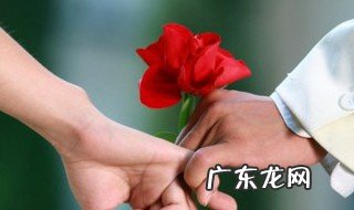 月季花和玫瑰花的相同点 月季花和玫瑰花的相同点和不同点