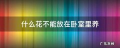 哪种花不能放在卧室里养 什么花不能放在卧室里养