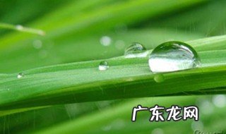 形容露水的词语有哪些 形容露水的词语有哪些成语