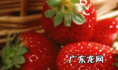 草莓果黑紫是怎么回事 草莓果黑紫是怎么回事啊