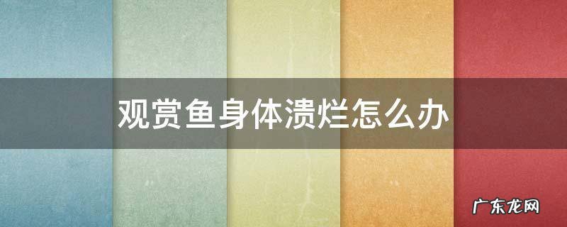 观赏鱼身体溃烂怎么办 观赏鱼身上溃烂