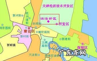 天津东丽区是滨海新区吗？天津市