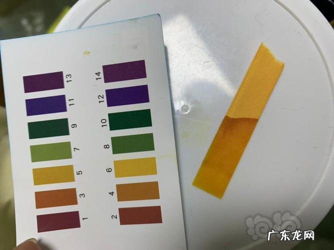 自来水ph高一点有什么影响吗